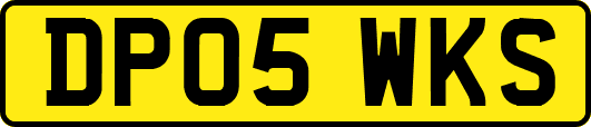 DP05WKS
