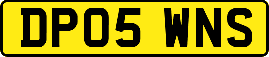 DP05WNS