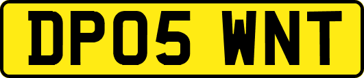 DP05WNT