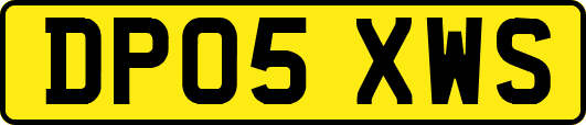 DP05XWS