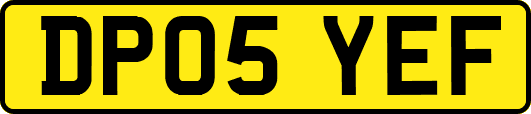 DP05YEF