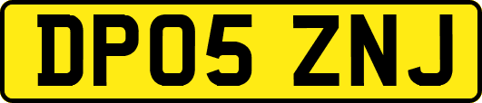DP05ZNJ