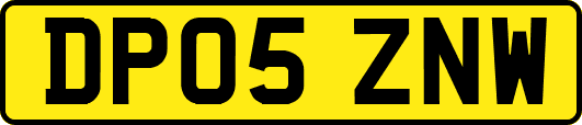 DP05ZNW