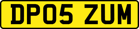DP05ZUM