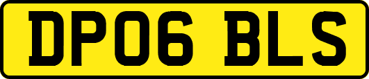 DP06BLS