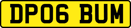 DP06BUM