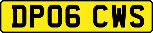 DP06CWS