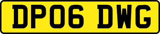 DP06DWG