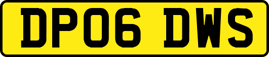 DP06DWS