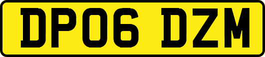 DP06DZM