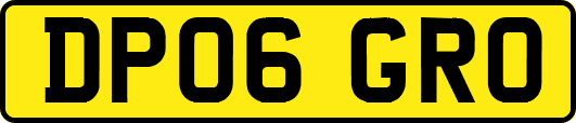 DP06GRO
