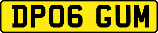 DP06GUM