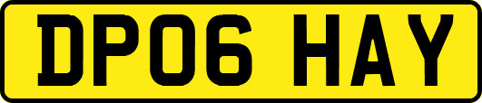 DP06HAY