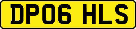 DP06HLS