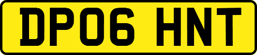 DP06HNT
