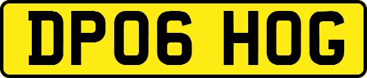 DP06HOG