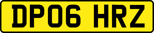 DP06HRZ