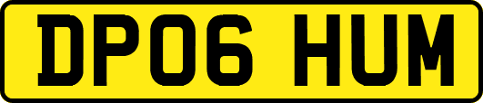DP06HUM
