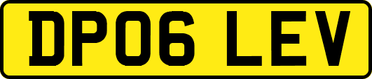DP06LEV
