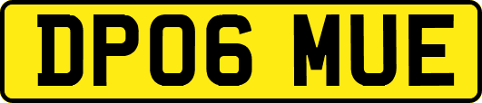 DP06MUE