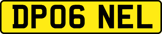 DP06NEL
