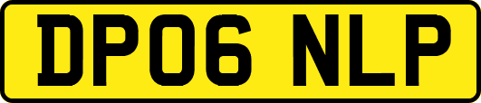 DP06NLP