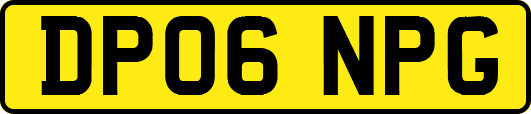 DP06NPG