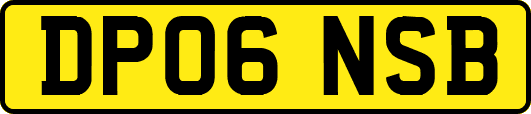 DP06NSB