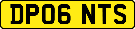 DP06NTS