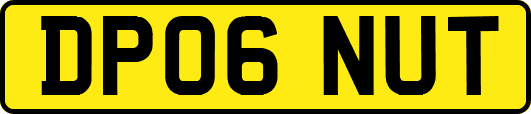 DP06NUT