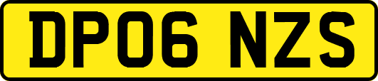 DP06NZS