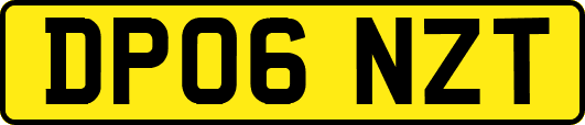 DP06NZT
