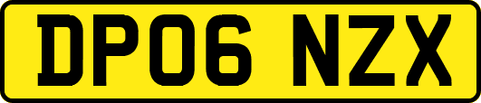 DP06NZX