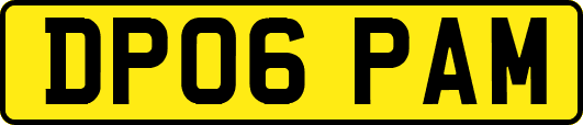 DP06PAM