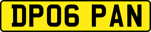DP06PAN