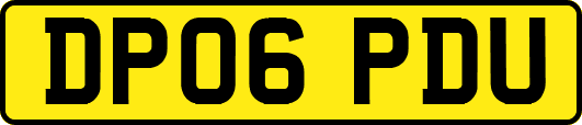 DP06PDU