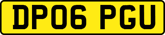 DP06PGU