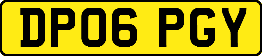DP06PGY