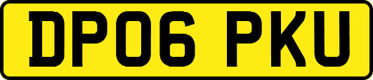 DP06PKU