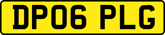 DP06PLG