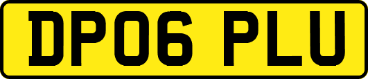 DP06PLU