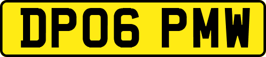 DP06PMW