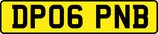 DP06PNB