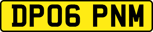 DP06PNM