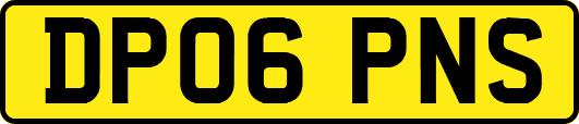 DP06PNS