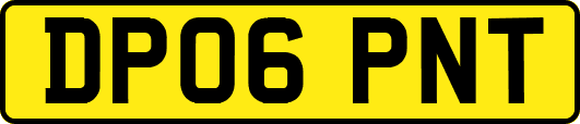 DP06PNT