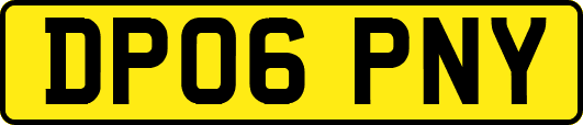 DP06PNY