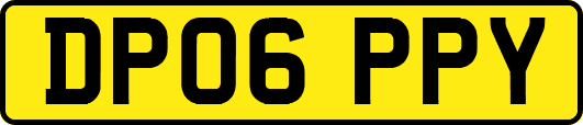 DP06PPY