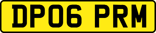 DP06PRM