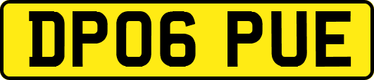 DP06PUE